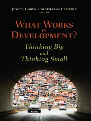 cover image of What Works in Development?